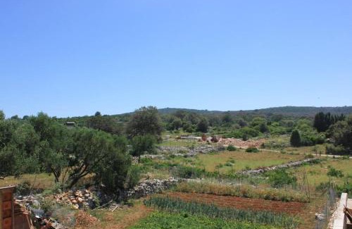 Ilovik Apartment | Apartments by the sea Ilovik, Losinj - 8069