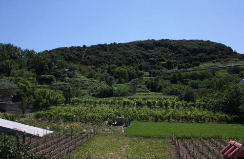 Rab Town Apartment | Apartments by the sea Supetarska Draga - Donja, Rab - 4954