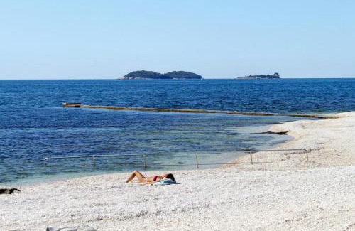 Borik Apartment | Apartments with a parking space Rovinj - 7095