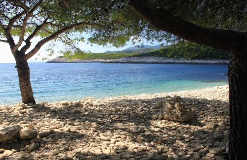 Rukavac Apartment | Apartments with a parking space Rukavac, Vis - 8837