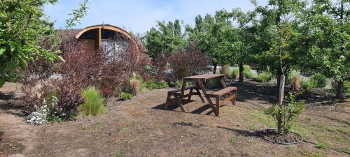 Chepica Cabin | Apfel Lodge