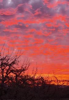 Chepica Cabin | Apfel Lodge