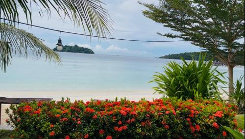 Iboih House | Apollo Bungalows