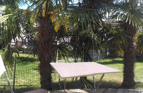 Palaiseau Apartment | Appart hôtel STUDIHOTEL Palaiseau Plateau Saclay