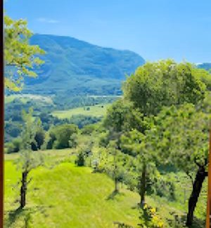 Cavedago Apartment | Appartamenti l'Edera