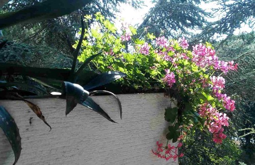 Silvi Marina Apartment | Appartamenti Primula Uno