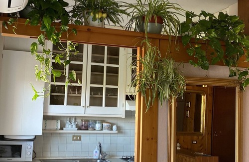 Cittadella Apartment | Appartamento Adatto per Famiglie 5 Minuti Dalla Stazione. 10 Minuti dal Centro