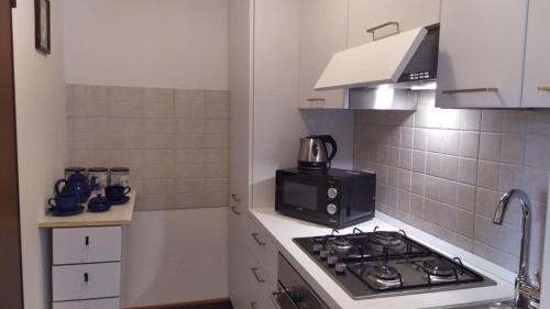 Pieve di Cadore Apartment | Appartamento al sole