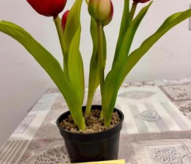 Cadorago Apartment | Appartamento con balcone affascinante a Cadorago