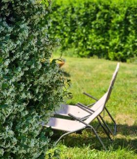 Volterra Apartment | Appartamento Il Nido
