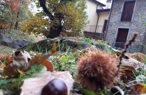 Roncoscaglia Apartment | Appartamento Immerso nel Bosco, a Pochi Passi dal Centro