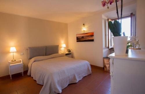 San Gimignano City Centre House | Appartamento Le Palme con terrazze in centro