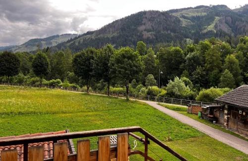 Ziano di Fiemme Apartment | Appartamento Le Sipole