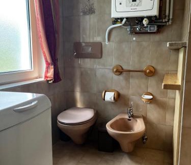 Ziano di Fiemme Apartment | Appartamento Le Sipole