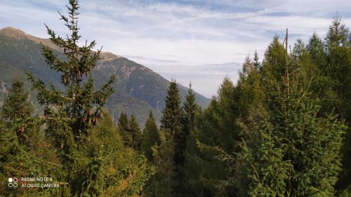 Marilleva Apartment | Appartamento Marilleva1400 Veria1