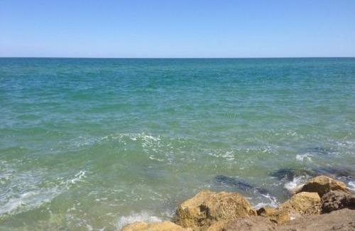 Torrette Apartment | Appartamento Metaurilia