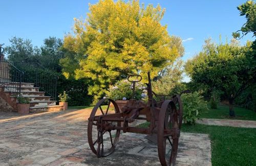 Ripa Teatina House | Appartamento Mimosa