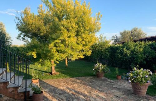 Ripa Teatina House | Appartamento Mimosa