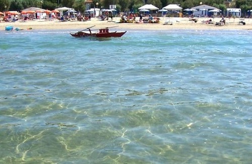 Senigallia Apartment | Appartamento nel Verde sul Mare di Senigallia