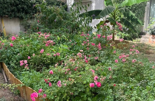 Billancourt–Rives de Seine Apartment | Appartement RDC pour familles