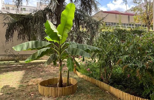 Billancourt–Rives de Seine Apartment | Appartement RDC pour familles