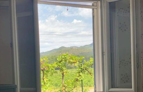 Beaumes-de-Venise Apartment | Appartement au Coeur de la Provence