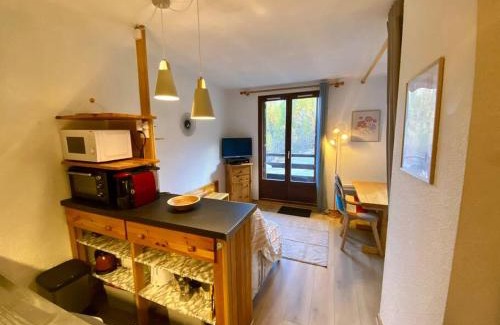 Puy-Saint-Vincent Apartment | Appartement au pied des pistes