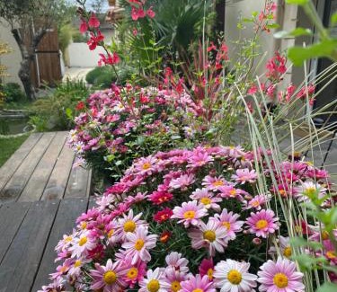Begles Apartment | Appartement avec jardin