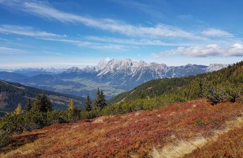 Haus Apartment | Appartement BERGTRÄUME