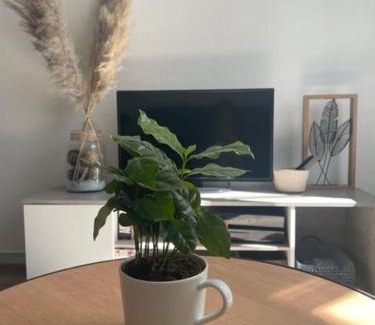 Lons-le-Saunier Apartment | Appartement calme au cœur de la ville