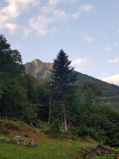 Cauterets Apartment | Appartement Cauterets