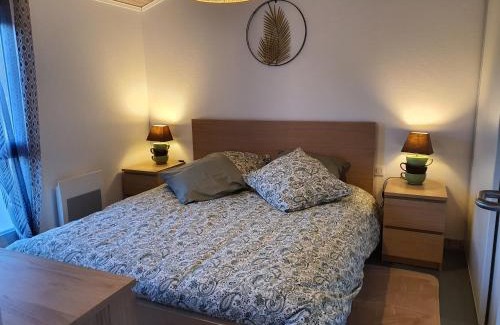 Casteljaloux Apartment | Appartement cosy et climatisé pour 1 à 4 personnes 150m place Gambetta