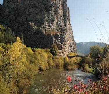 Castellane Apartment | Appartement cosy