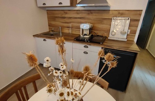 Ayse Apartment | Appartement "entre Vignes et Montagnes