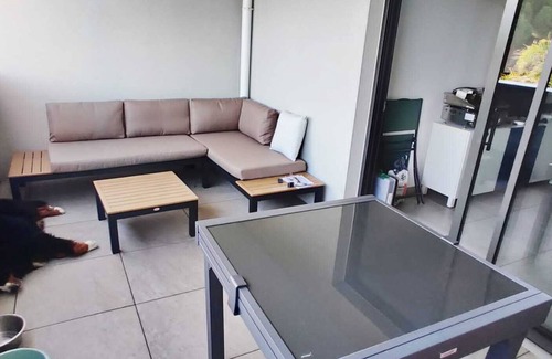 La Faviere Apartment | Appartement F2+ gde Terrasse, Garage Securisé, Piscine Dans L'immeuble vue mer