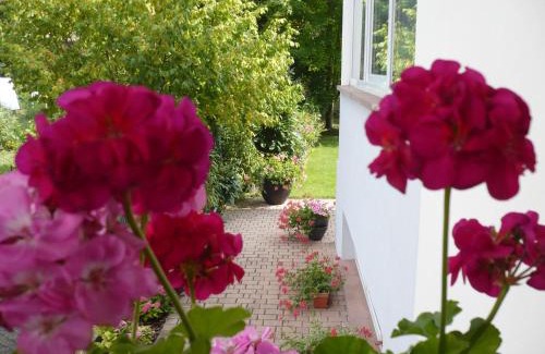 Lingolsheim Apartment | Appartement Le Jardin