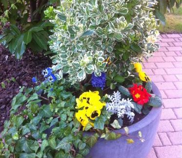 Lingolsheim Apartment | Appartement Le Jardin