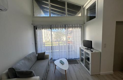 Le Penon Apartment | Appartement lumineux et spacieux à deux pas de la plage de Seignosse - FR-1-239-1042