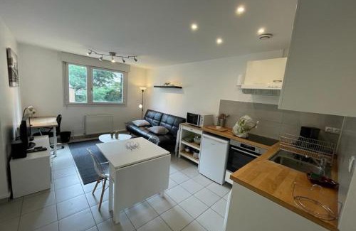 Jean Moulin - Marius Berliet Apartment | Appartement Lyon 8 proche métro