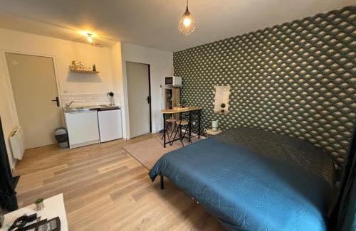 La Roche-sur-Yon Apartment | Appartement Moderne