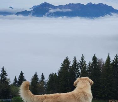 Allevard Apartment | appartement pied des pistes Allevard