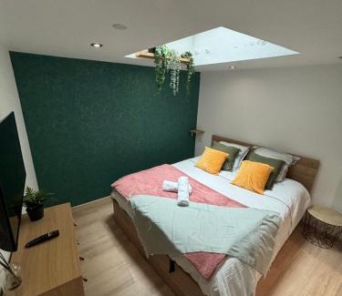 Hastings Apartment | Appartement - Saint-Blaise