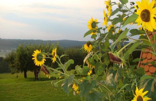 Kukmirn Apartment | Appartement Schober