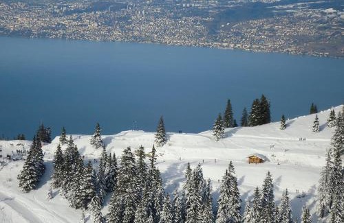 Thollon-les-Memises Apartment | Appartement spacieux proche pistes avec parking privé - FR-1-498-116