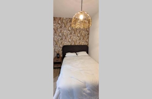 Saint-Remi Apartment | Appartement T2 Centre-ville Entièrement rénové