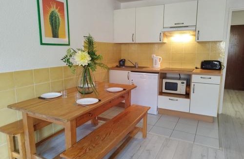 Orcieres-Merlette Apartment | Appartement T2 cabine pour 8 pers, ski aux pieds, bien équipé, proche commerces et sports - FR-1-262-137