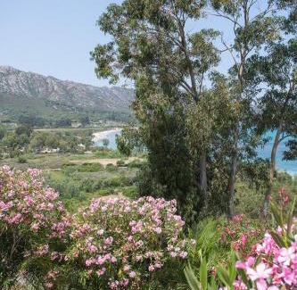 Saint-Florent Apartment | APPARTEMENT TERRASSE La Citadelle Appartements Saint Florent