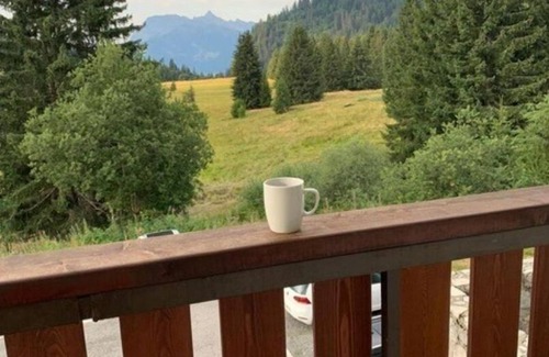 Le Praz de Lys Apartment | Appartement Tout Confort Résidence les Terrasses du Mont Blanc au Praz de Lys