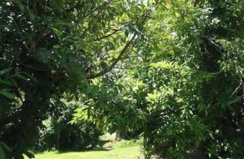 Cuguron Apartment | Appartement vue Pyrénées Avec Activités Petits et Grands à Proximité