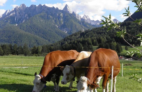 Valle San Silvestro Apartment | Appartements Burgerhof